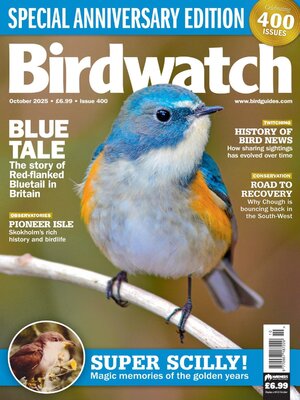 cover image of Birdwatch